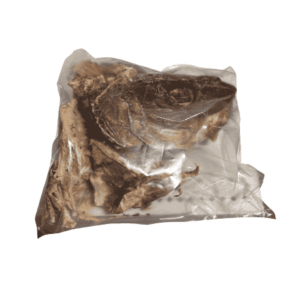 Stockfish Head
