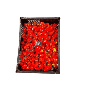 Red Habanero case