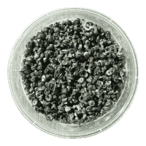 Dry periwinkle