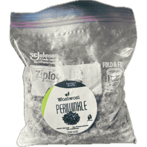 Fresh periwinkle 500g