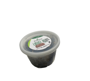 Fresh Locust Beans (Iru) big