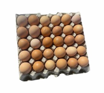 Brown egg