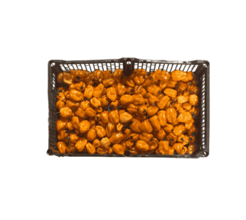 Yellow Habanero Pepper 8lbs