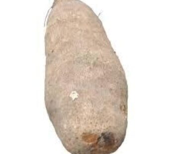 Yam (5lbs)